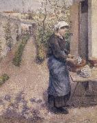 Camille Pissarro Woman washing dishes painting